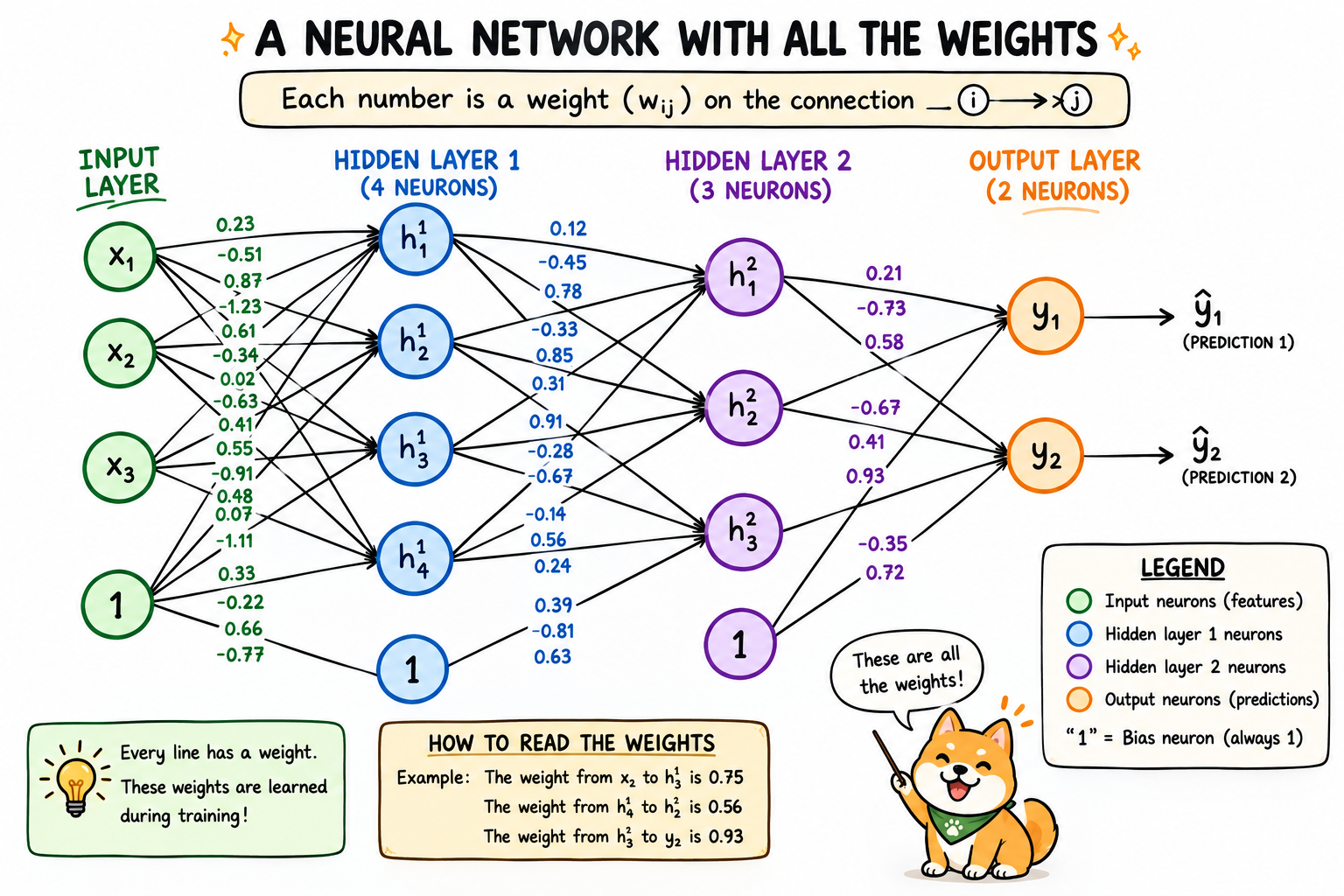 A neural network with all the weights